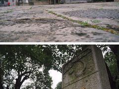 -龙潭水乡