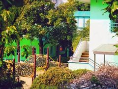 -上海市白玉兰幼儿园