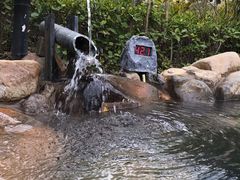 -凤翔首邑温泉度假村