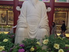 -神州牡丹园