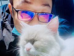-喵喵咪呀布偶猫咖(春熙路店)