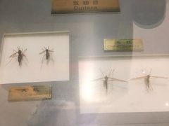 -上海昆虫博物馆
