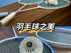 -羽跃羽毛球馆(民星路店)