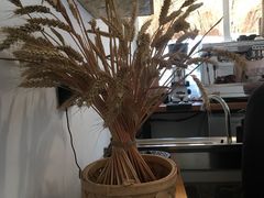 -灶咖KITCHEN