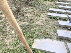 -火炉山森林公园