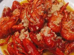 -杨氏青龙虾·羊蝎子(珠江路店)