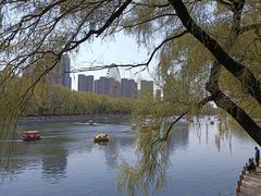 景点-沈阳南湖公园