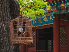 -北坞公园