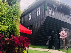 -金山农民画村-枫泾波兰倒置屋