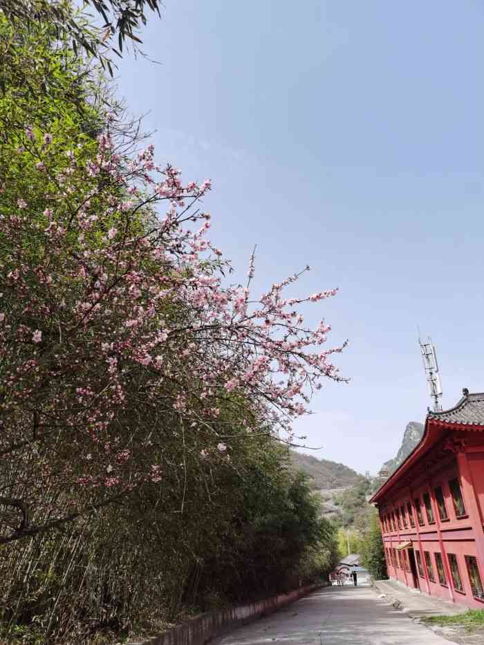 净业寺位于沣峪口附近的山上,爬山是必须的-大众点评