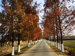 -嘉北郊野公园