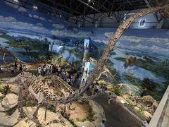 -自贡恐龙博物馆