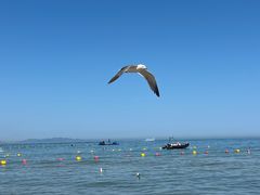 -那香海钻石沙滩浴场