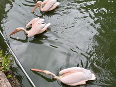 -黔灵山公园