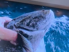 -周渝食惦酸菜鱼(青浦店)