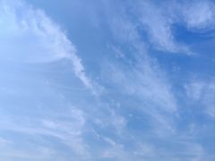 -昆山城市生态森林公园