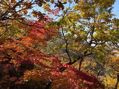 -丹东凤凰山景区