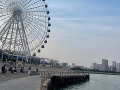 -琴岛之星摩天轮