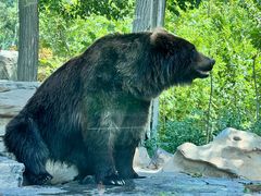 -北京野生动物园