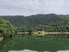 -桃花岭景区
