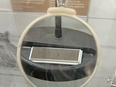 -冰岛阴茎博物馆