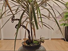 -领享养生会所·采耳·SPA按摩(厦门吕厝店)