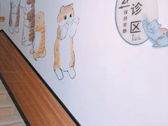 -派联宠物医院·24h·CT·异宠