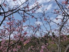 -聚龙山公园