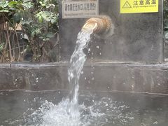 -西安国际创新人才交流中心•药浴温泉