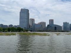 -金沙湖公园