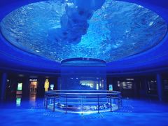 -上海海昌海洋公园