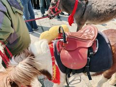 -茅山东方盐湖城景区