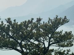 -仰口沙滩