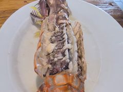 -凯华海鲜火锅·传承三十六年