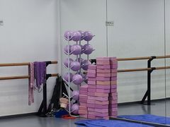 -中央芭蕾舞团·中芭艺蕾(酒仙桥明星校区)