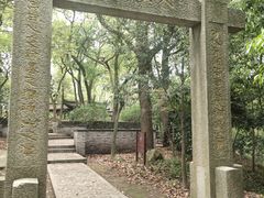 -上海佘山国家森林公园天马山园