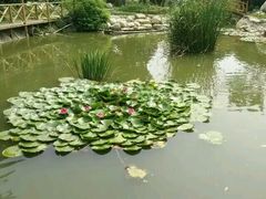 -武汉紫薇都市田园