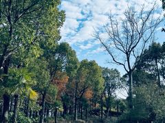 -上海长兴岛郊野公园