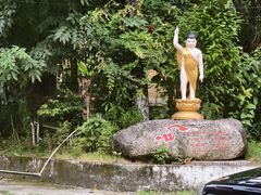 -瑞丽独树成林风景区