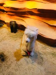 -酷嗒动物文化乐园(cutezoo西溪乐天城店)