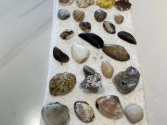 -双月湾