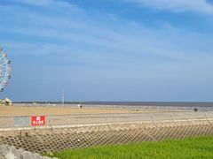 -奉贤海滩