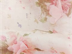 -上海动物园(地铁站)