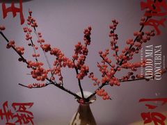 -璞禅足道(观音桥旗舰店)