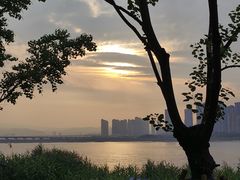 -江心屿景区