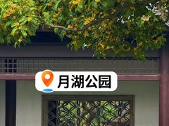 -月湖公园