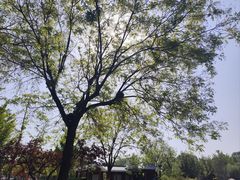 -河北省园博园