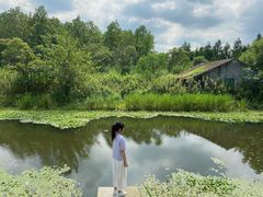 -东平国家森林公园