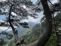 -王顺山国家森林公园