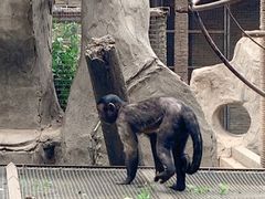 -石家庄市动物园